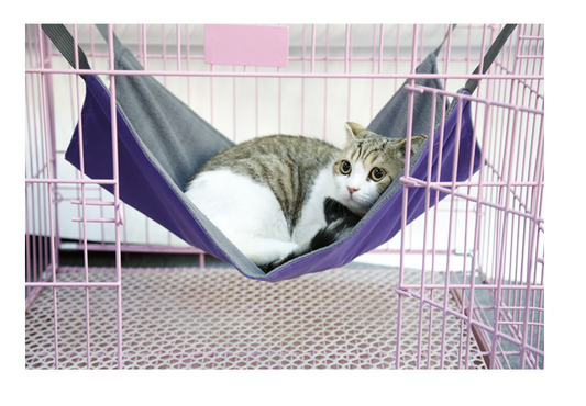 Cat Hammock Bed