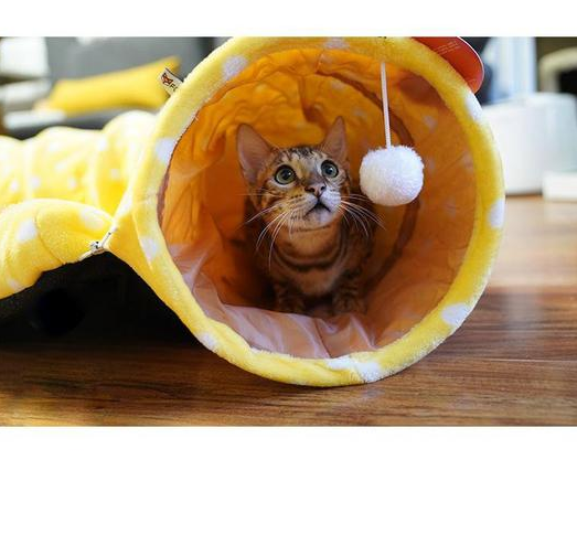 Cat Tunnel Bed and Sleeping Bag