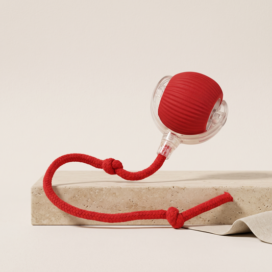 Smart rolling pet ball in red with rope tail