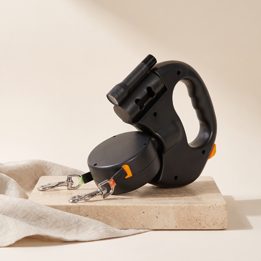 Black retractable double dog leash with two leads